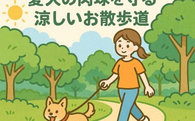 関東地方の夏を快適に！愛犬の肉球を守る涼しいお散歩道