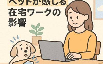 スマホの音に敏感？！ペットが感じる在宅ワークの影響