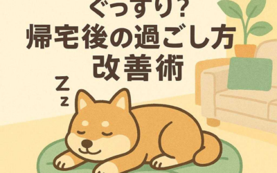 ホテルから戻ったペットがぐっすり？帰宅後の過ごし方改善術