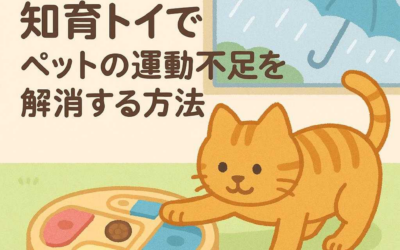 雨の日こそ活躍！知育トイでペットの運動不足を解消する方法