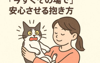 愛猫がパニックに？「今すぐその場で」安心させる抱き方
