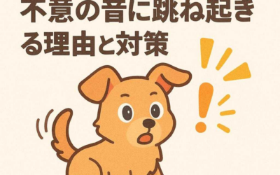 知覚過敏ペット必見！不意の音に跳ね起きる理由と対策