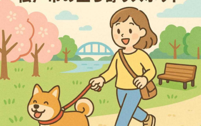 愛犬との散歩がさらに楽しく！松戸市の立ち寄りスポット