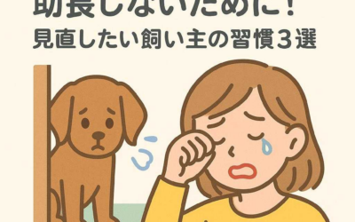 寂しがりなペットを助長しないために！見直したい飼い主の習慣3選