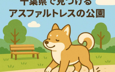 【愛犬の足腰を守る】千葉県で見つけるアスファルトレスの公園