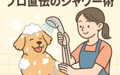 愛犬の毛がゴワつかない！プロ直伝のシャワー術