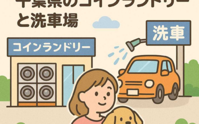 ペット連れに優しい千葉県のコインランドリーと洗車場