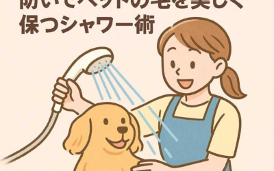 プロ直伝！すすぎ残しを防いでペットの毛を美しく保つシャワー術