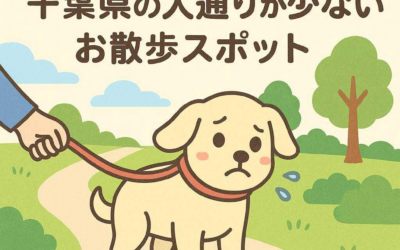臆病なワンちゃんもOK！千葉県の人通りが少ないお散歩スポット