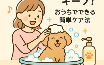 ペットサロンの香りをキープ！おうちでできる簡単ケア法