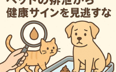 トイレシート交換の前に！ペットの排泄から健康サインを見逃すな