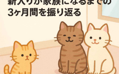 多頭飼いのリアルな距離感！新入りが家族になるまでの3ヶ月間を振り返る