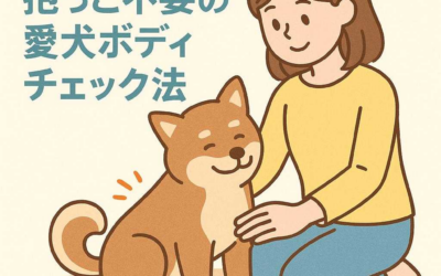 家庭で簡単！抱っこ不要の愛犬ボディチェック法