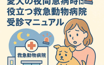 千葉県で安心！愛犬の夜間急病時に役立つ救急動物病院受診マニュアル