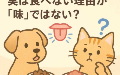 愛犬愛猫の味覚の神秘！実は食べない理由が「味」ではない？
