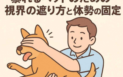プロが教える！暴れるペットのための視界の遮り方と体勢の固定法
