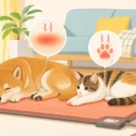 犬猫の低温やけどとは？ホットカーペット事故の症状と見分け方