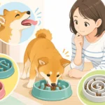犬の早食い・丸飲みは舌のクセ？食器で防ぐ工夫