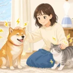 犬猫の静電気はなぜ起きる？冬のバチッを防ぐ対策法