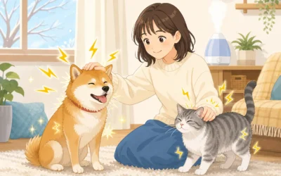犬猫の静電気はなぜ起きる?冬のバチッを防ぐ対策法